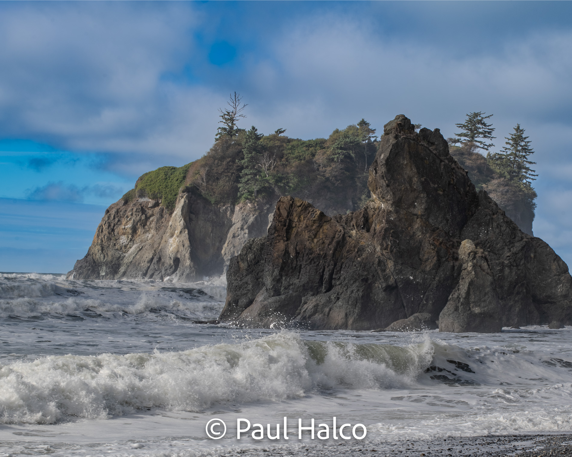 Paul Halco - Olympus NP-9